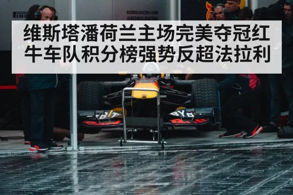 Max Verstappen Red Bull